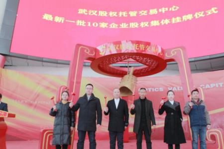 湖北四板挂牌是什么意思