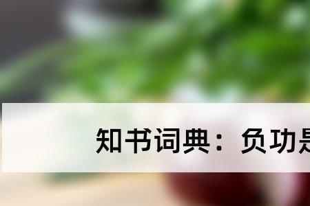 不自恃的意思