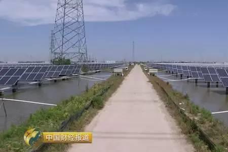 养鱼塘为什么用电