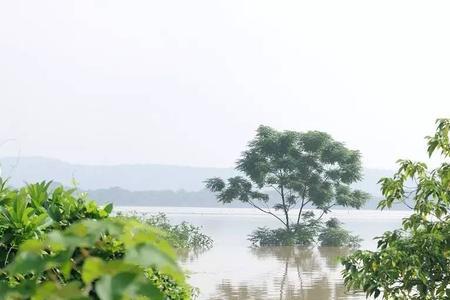 潮浸区是什么意思