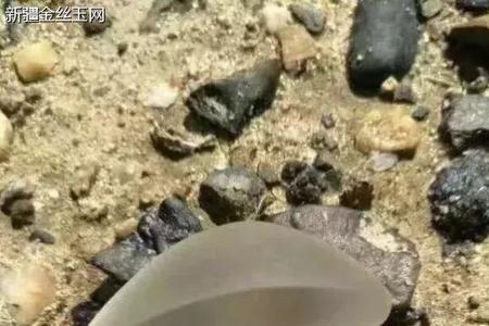 东梭玉和金丝玉哪个价位高