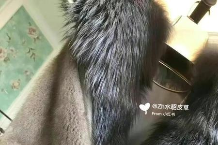 如何区分貂底绒厚薄