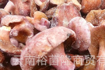 红乳牛肝菌可以炸吗
