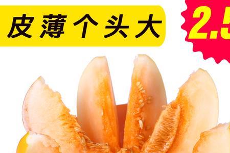黄金蜜瓜的皮能吃吗