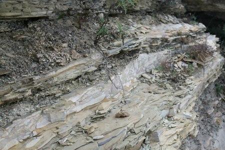 博山白石洞60岁免票吗