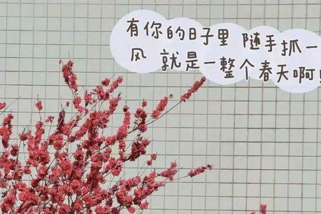等你在春天文案
