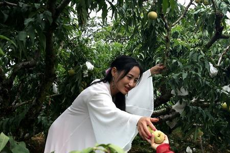 男生对女生说摘桃子是什么意思