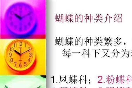 蝴蝶四星和五星的区别
