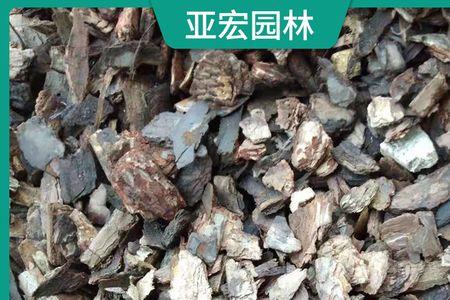 松鳞种多肉的优缺点