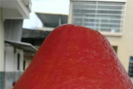 红柚红皮跟白皮怎么回事
