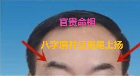 命中一子指的是女儿吗