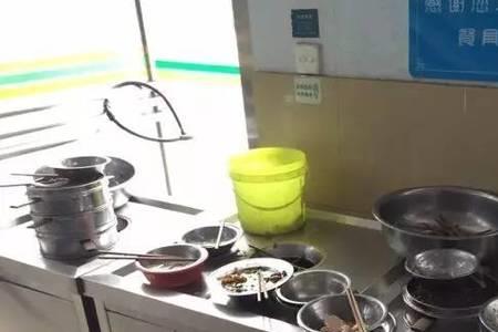 光盘的原意与新意是什么