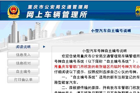 请输入车辆所有人怎么填