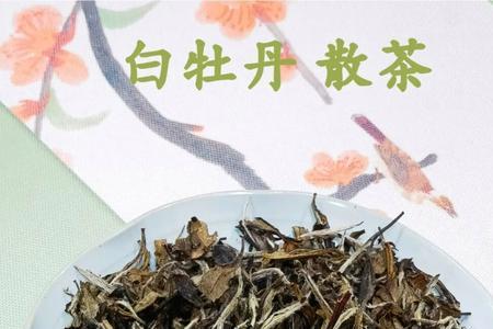 贡眉和白牡丹哪个好喝