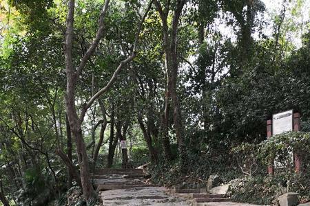 采石江边一堆土的全诗是什么