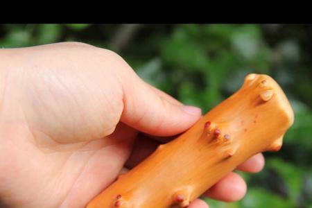 花椒木优缺点