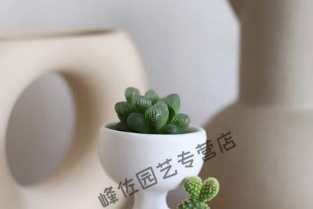 小黄毛防晒好用吗