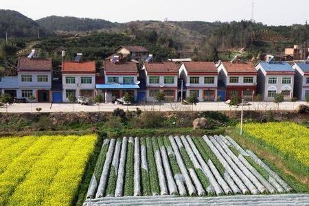 怎么计算亩积
