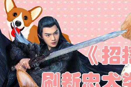 忠犬型男友意思