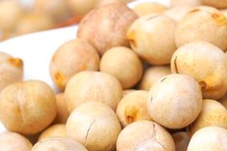 鹰嘴豆和榛子的区别