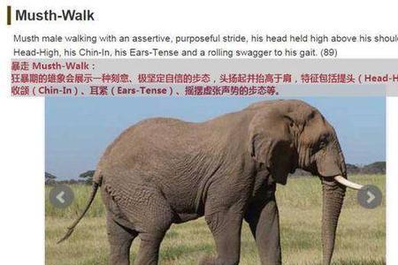 图与象的定义