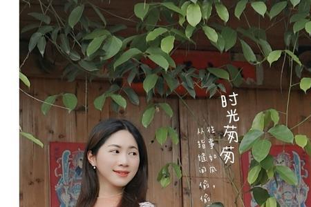溜走的时光什么意思