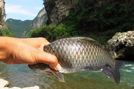水潭钓鱼的正确方法