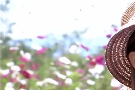 花非花雾非雾什么时候拍的