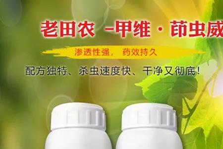 甲维盐是否能杀死跳蚤