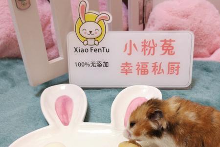 仓鼠喝什么牛奶才健康