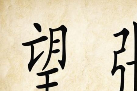 望知意思