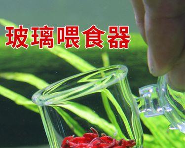 小鱼食必须用喂食器么