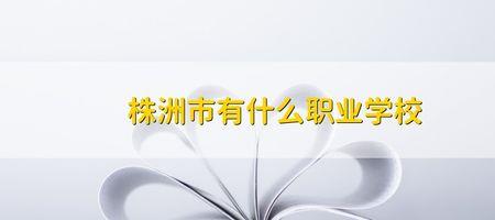 株洲市私立大专