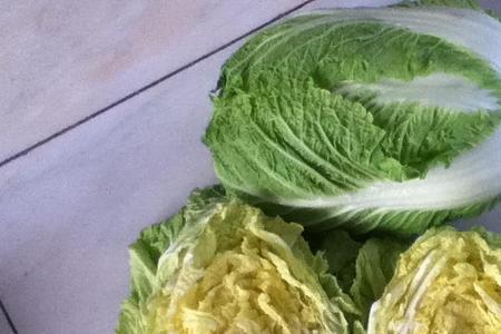 黄心菜是什么