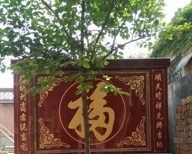 院子太窄怎样建影壁墙