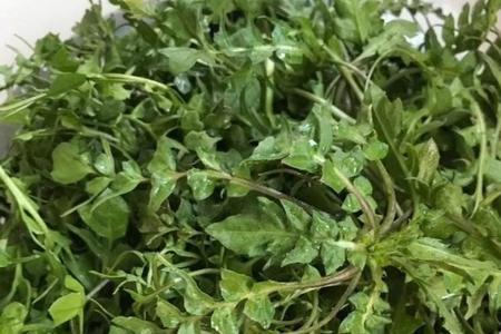 冷冻的野菜怎么解冻快速