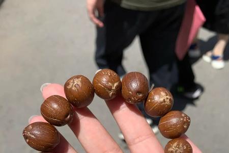 原皮紫金鼠怎么区分好坏