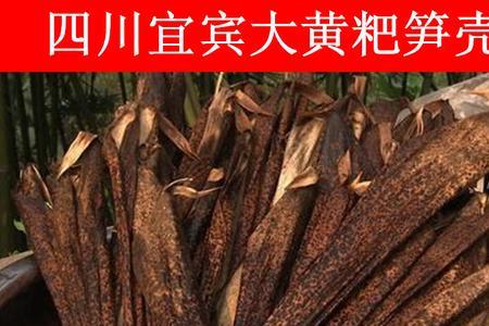 黄粑叶能包粽子吗