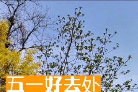 沈阳5a景区有几个
