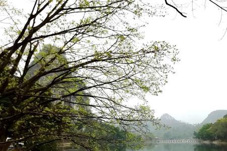 潇潇烟雨的意思