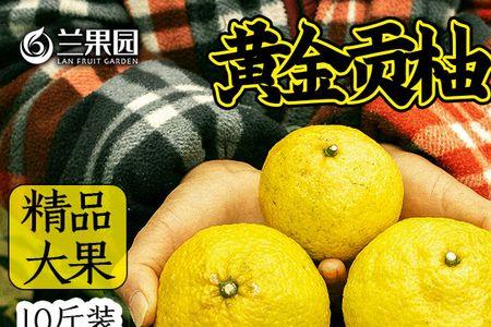黄金贡柚的优缺点