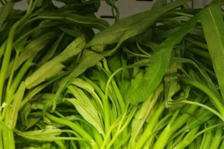 100克的空心菜尖多少卡