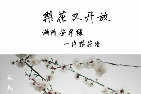 见物思情的意思是什么