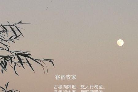 酒后诗兴大发的诗