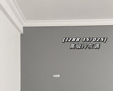 克莱因蓝在多乐士漆里的色号