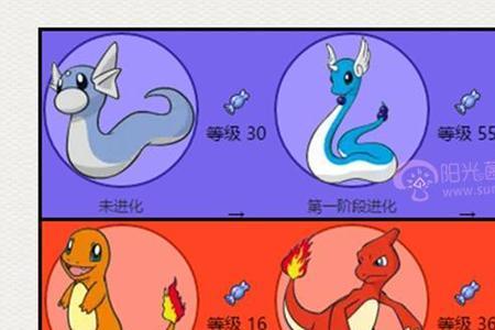 三首恶龙和快龙哪个值得培养