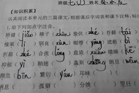 左右读音相同的字有哪些词语
