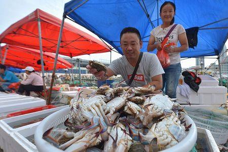 青岛没开海怎么有当地的螃蟹