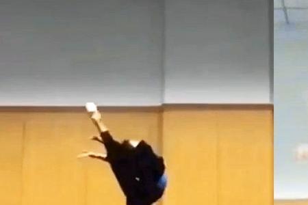 倒踢紫金冠来历