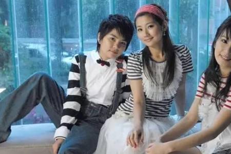 SHE主演过哪些好看的电视剧
